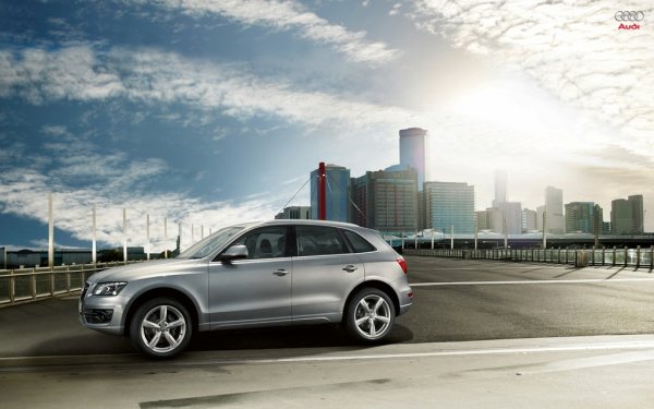 Audi Q5.